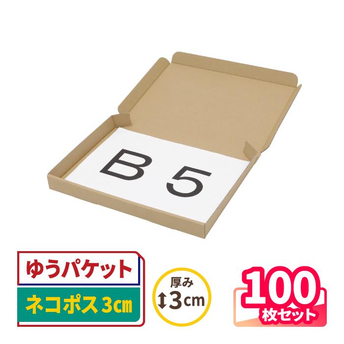 アースダンボール ネコポス 箱 3cm B5 発送 100枚 ｜267×192×26mm