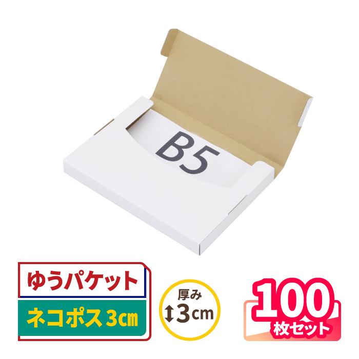 アースダンボール ネコポス 箱 3cm B5 発送 100枚 ｜270×195×25mm