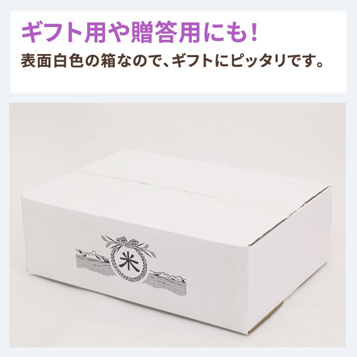 アースダンボール ダンボール 段ボール箱 宅配 100 サイズ お米 10kg用