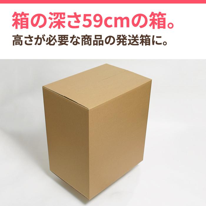 ダンボール　段ボール箱　宅配　サイズ　10枚　強化　160　(0014)