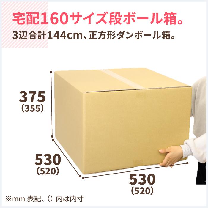 ダンボール 段ボール箱 宅配 160 サイズ B3 正方形 10枚 (0018)｜bestcarton-shop｜02