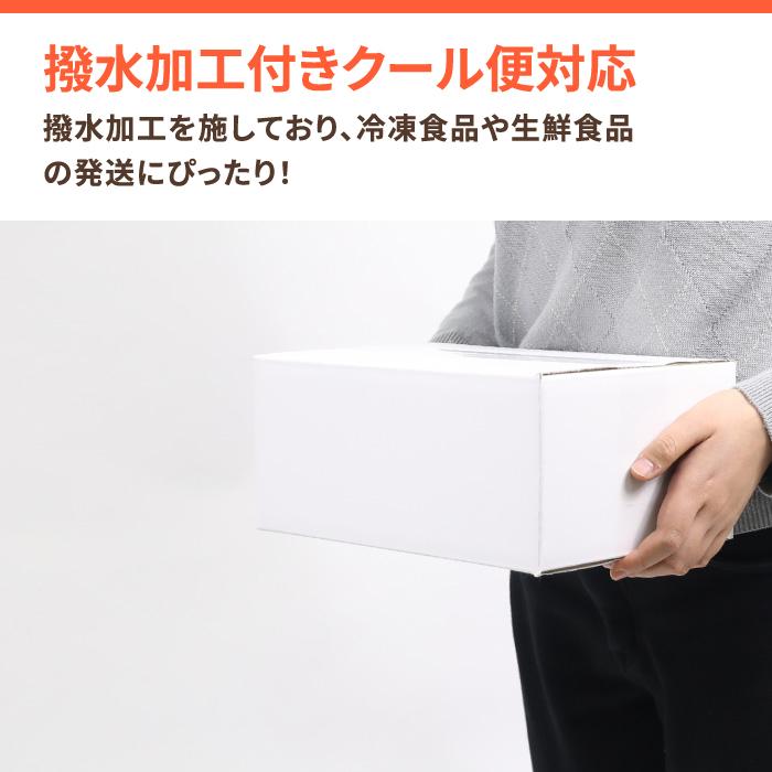 アースダンボール ダンボール 段ボール箱 60サイズ 撥水 B5 宅配