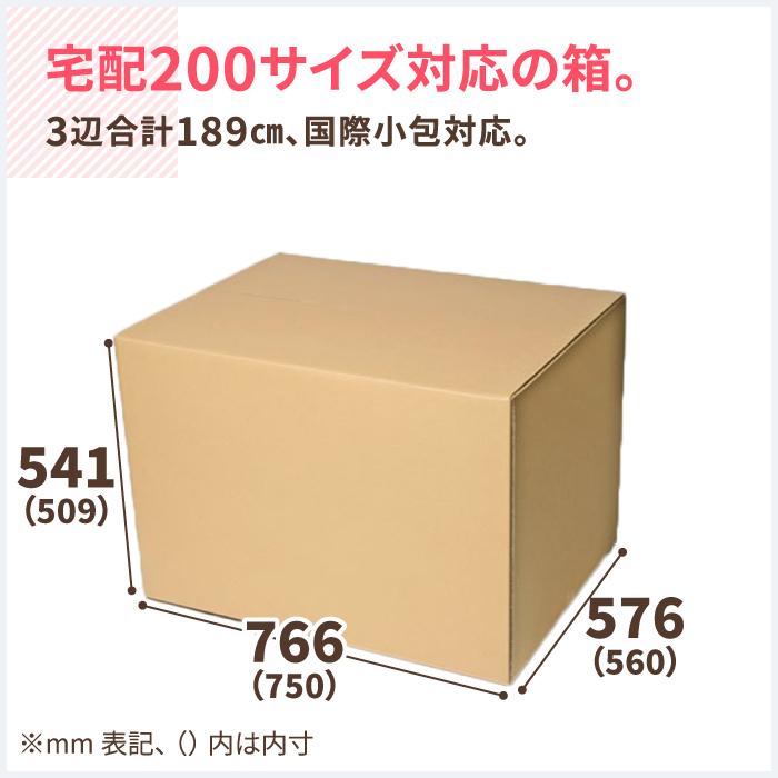 【SALE／10%OFF ダンボール 段ボール箱 200サイズ 引越 EMS 国際小包A 宅配 5枚 ｜750×560×509mm（2024）