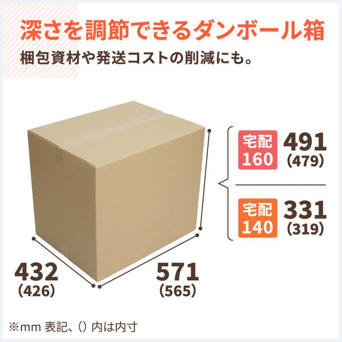 アースダンボール ダンボール 段ボール箱 140サイズ 160サイズ