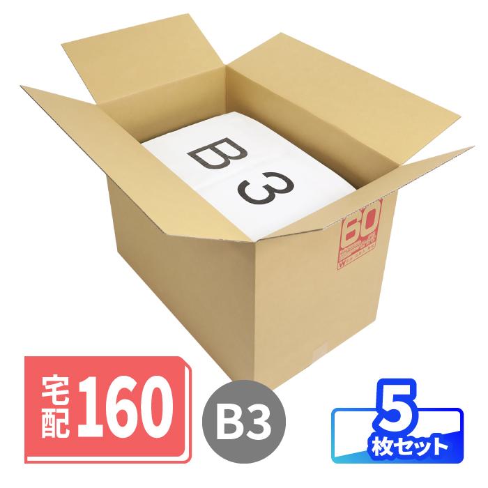 アースダンボール ダンボール 段ボール箱 160サイズ 引越 宅配 5枚