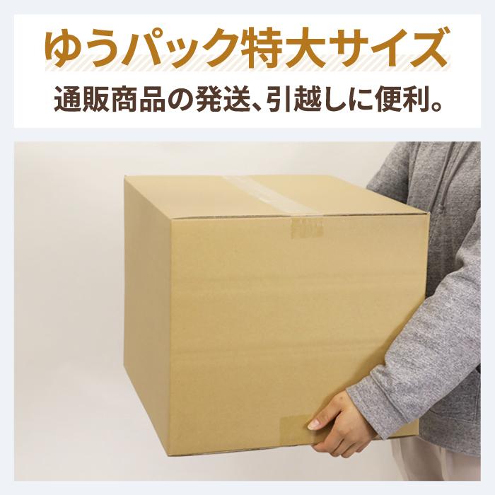 アースダンボール ダンボール 段ボール箱 120サイズ 引越 発送 10枚 深