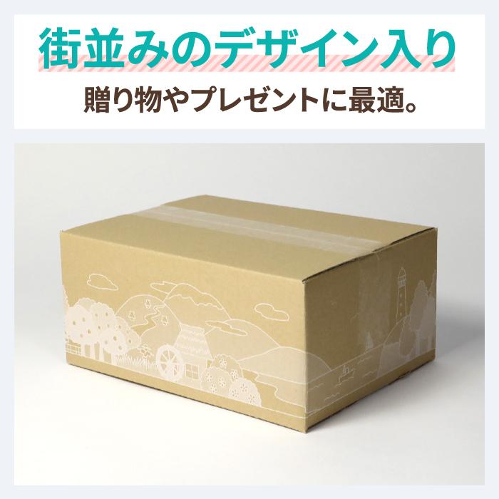 ダンボール 段ボール箱 60サイズ B5 宅配 発送 ギフト 10枚 |264×194×114mm(0361)|bestcarton-shop|03