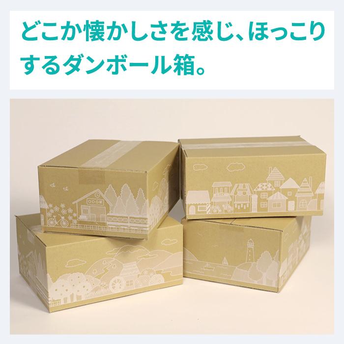 ダンボール 段ボール箱 60サイズ B5 宅配 発送 ギフト 10枚 |264×194×114mm(0361)|bestcarton-shop|04
