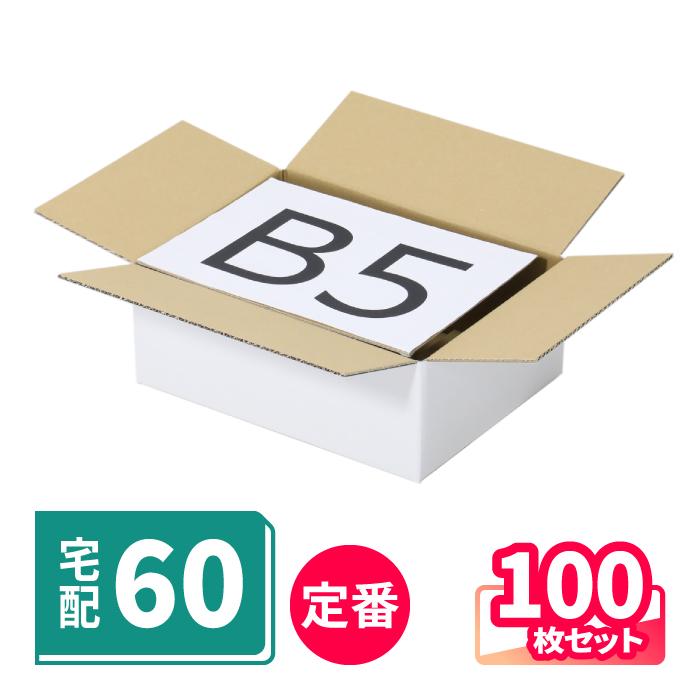 60サイズ 未使用配送用ダンボール x 100枚 アースダンボール ダンボール 60サイズ B5 100枚 ｜270×200×100mm