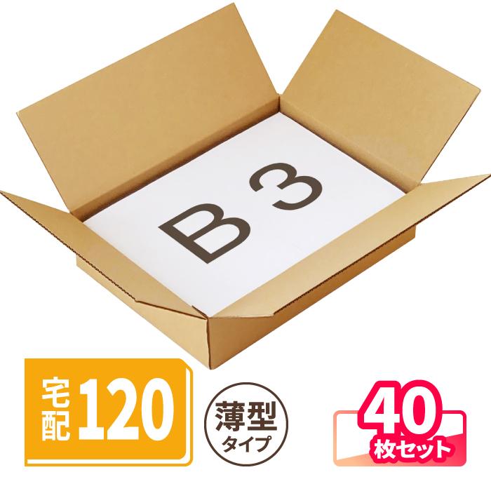 アースダンボール 薄型 ダンボール 120サイズ B3 40枚 ｜530×380×120mm