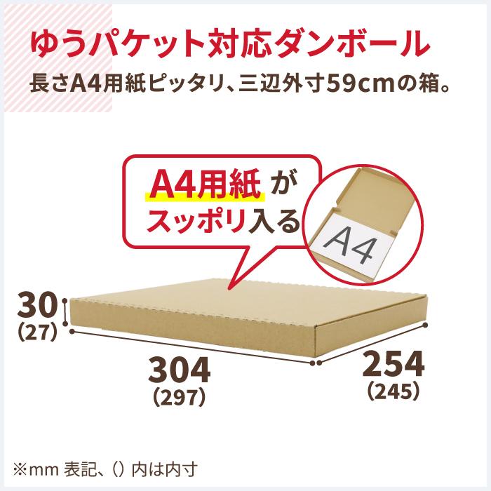 ダンボール 段ボール箱 A4 ゆうパケット 3センチ 発送  200枚 ｜297×245×27mm（5700）｜bestcarton-shop｜02