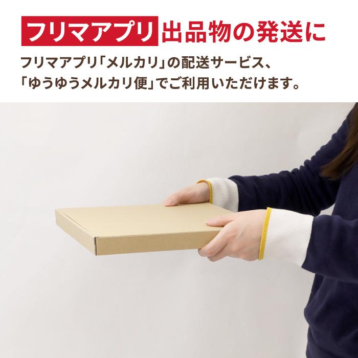 アースダンボール ダンボール 段ボール箱 B5 ゆうパケット 3センチ