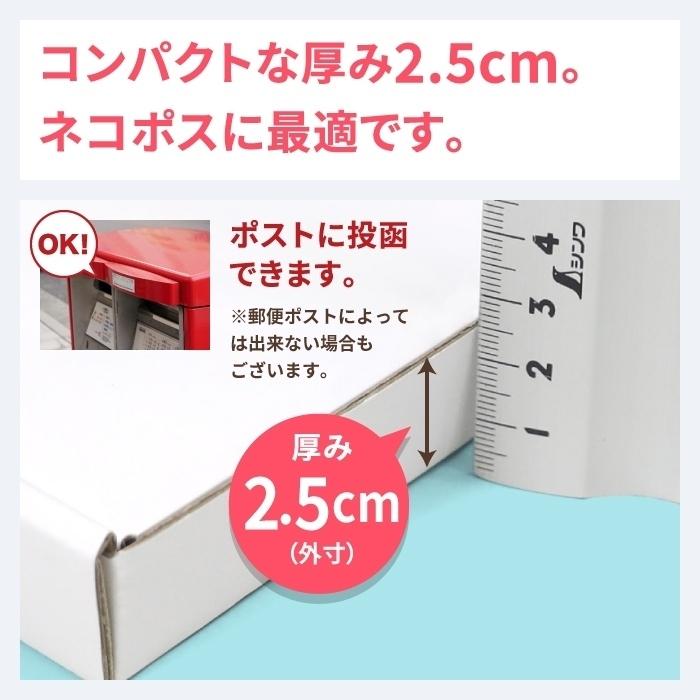 アースダンボール ネコポス ダンボール 段ボール箱 2.5cm A5 定形外