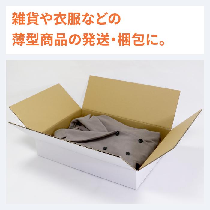 アースダンボール ダンボール 段ボール箱 120サイズ A2 薄型 宅配 発送