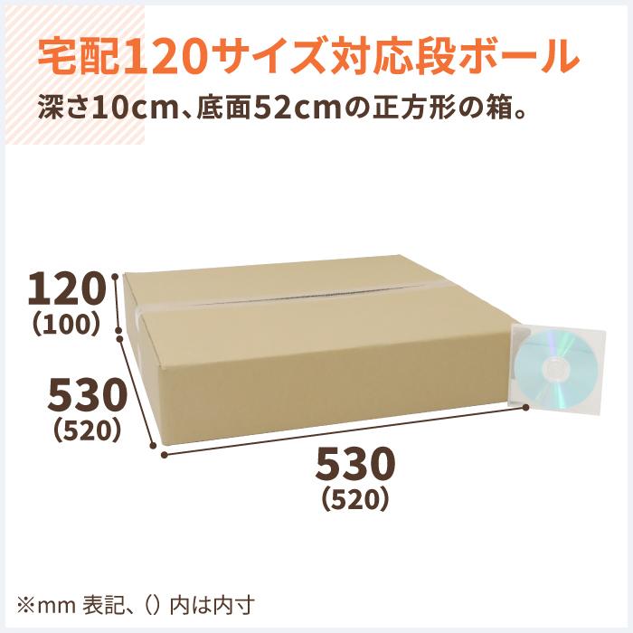 アースダンボール ダンボール 段ボール箱 120サイズ 正方形 A3 浅型 5