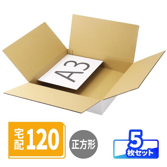 アースダンボール ダンボール 段ボール箱 120サイズ 正方形 A3 浅型 白
