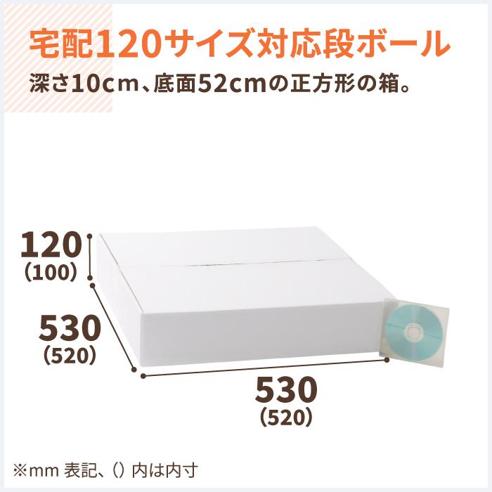 アースダンボール ダンボール 段ボール箱 120サイズ 正方形 A3 浅型 白