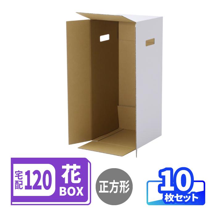 アースダンボール ダンボール 段ボール箱 120サイズ フラワーボックス