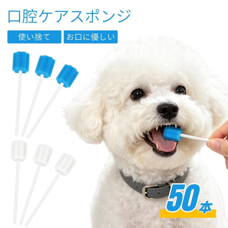 ペット歯ブラシ 口腔ケアスポンジ 50本入 使い捨て 犬 猫 歯ブラシ スポンジブラシ 花型 口内洗浄 口腔ケア 歯垢除去 舌汚れ お口ケア 衛生的 プラ軸 丈夫 清浄