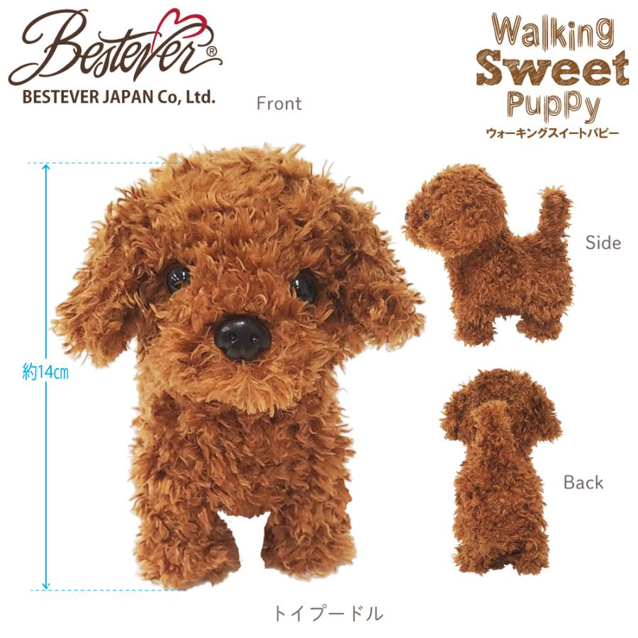 ベストエバー（Bestever） 【BESTEVER】【電池プレゼント】動く