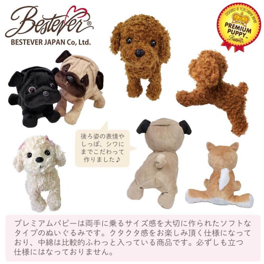 犬 ぬいぐるみ リアル 仔犬 くたくた 【 Premium Puppy プレミアム パピー ベストエバー 】シュナウザー ブラック 黒 シュナ｜bestever｜03