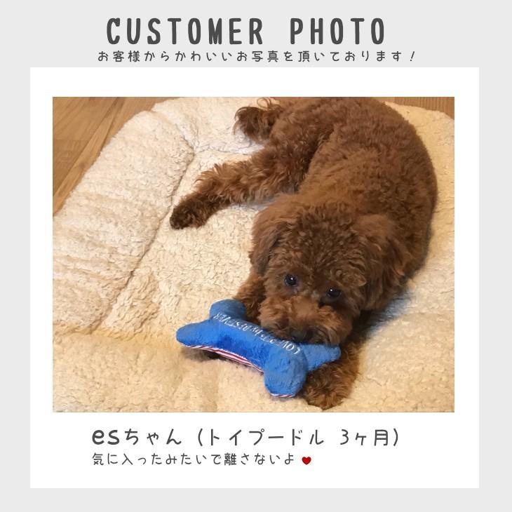 送料無料 選べる3点セット 犬 おもちゃ 犬のおもちゃ 自分で選べる 一緒に遊ぶ お家時間 犬用おもちゃの詰め合わせ 3点セット 601 ベストエバージャパン Yahoo 店 通販 Yahoo ショッピング