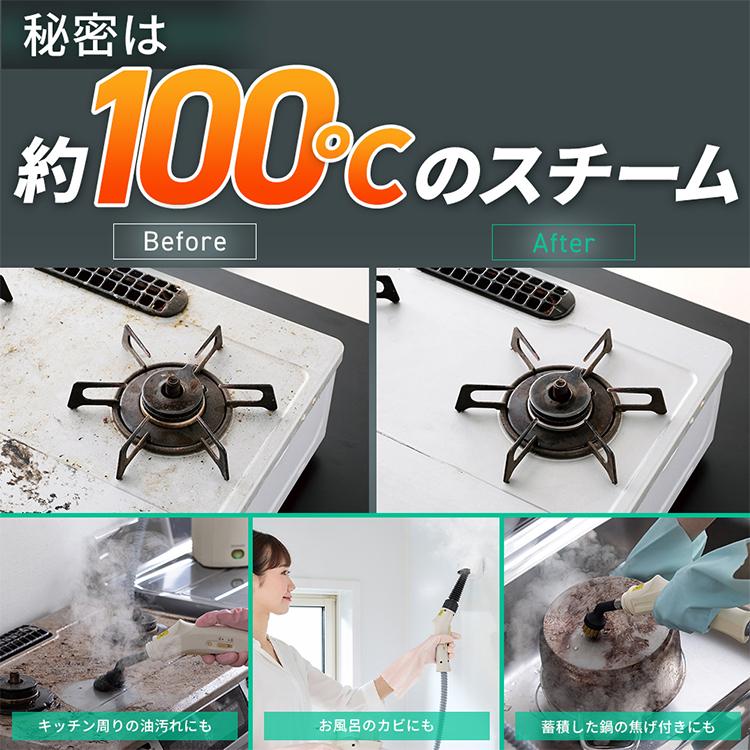 スチームクリーナー ハンディ アイリスオーヤマ 除菌 スチーム 掃除 洗浄 クリーナー  家庭用 キッチン お風呂 コンロ 掃除用品 大掃除 STM-305R-C
