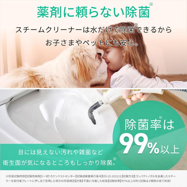 スチームクリーナー ハンディ アイリスオーヤマ 除菌 スチーム 掃除 洗浄 クリーナー  家庭用 キッチン お風呂 コンロ 掃除用品 大掃除 STM-305R-C