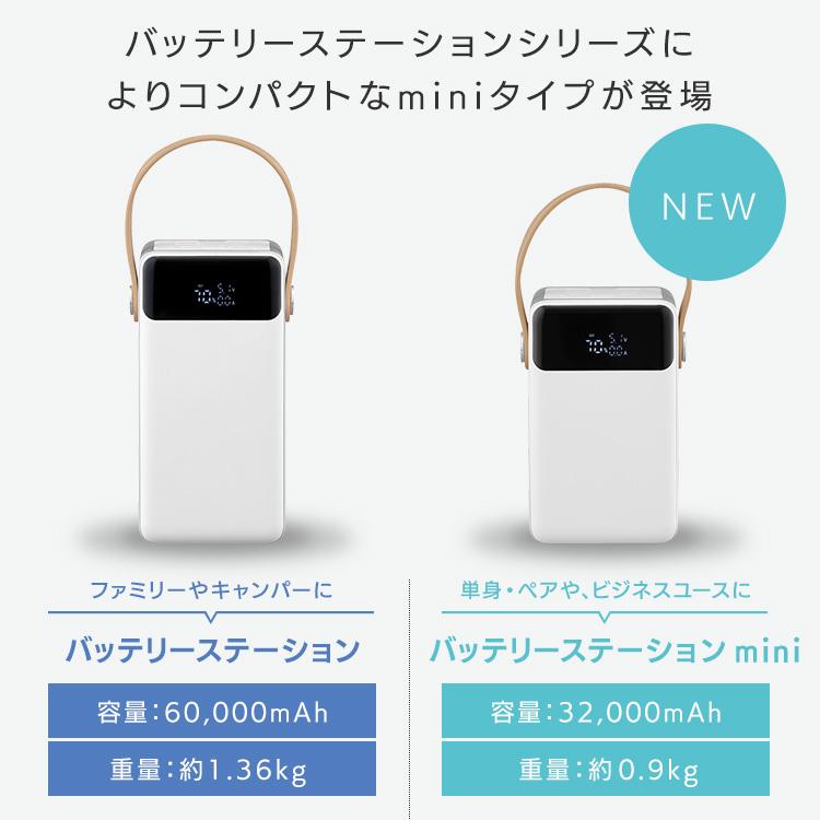IRIS OHYAMA（アイリスオーヤマ） バッテリーステーション 32000mAh
