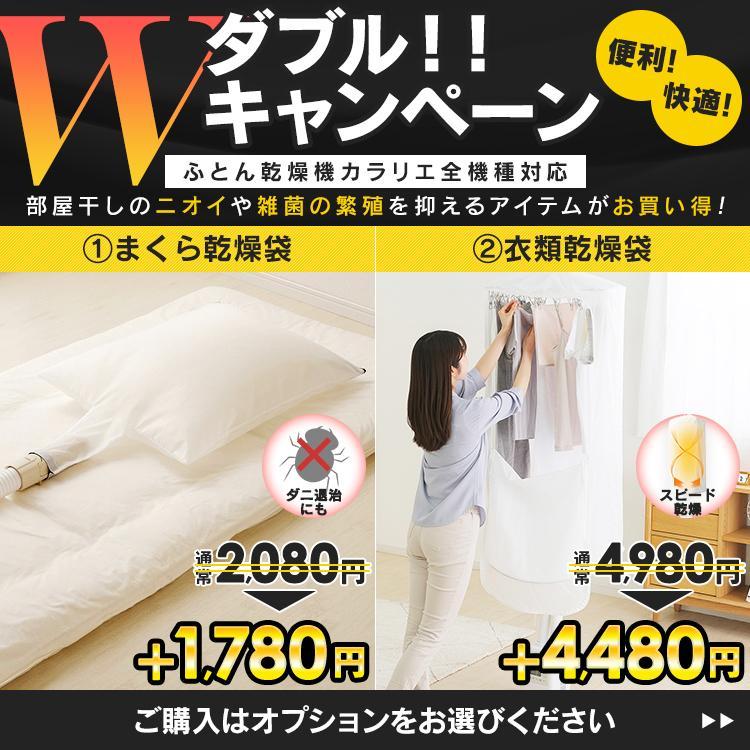 IRIS OHYAMA（アイリスオーヤマ） 布団乾燥機 袋 セット ダニ 効果
