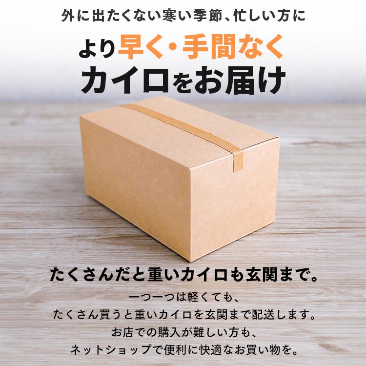 IRIS OHYAMA（アイリスオーヤマ） カイロ 貼る 貼るカイロ レギュラー