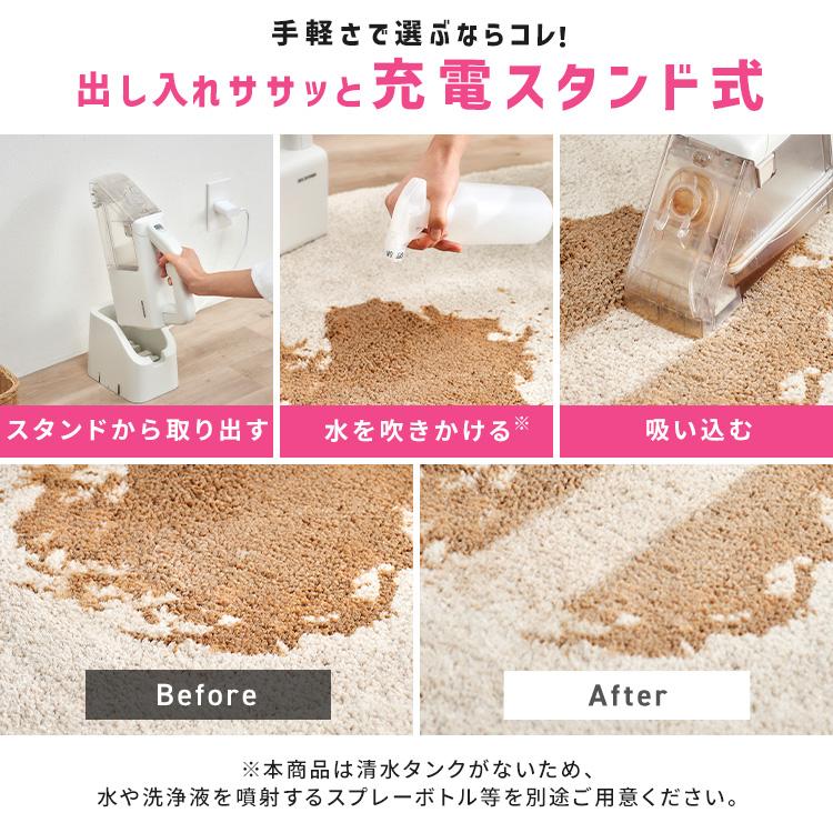 IRIS OHYAMA（アイリスオーヤマ） リンサークリーナー リンサー