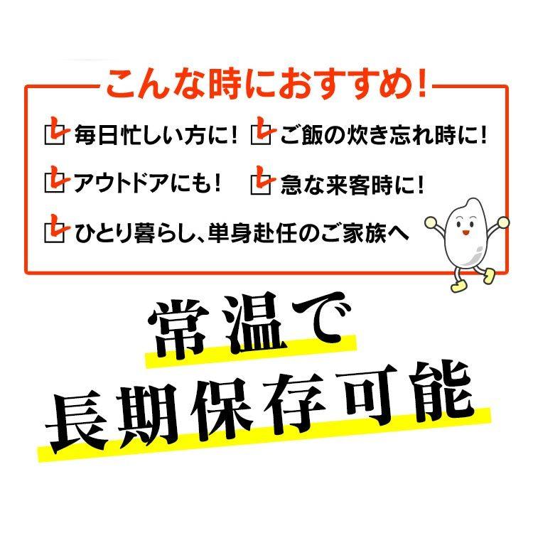 レトルトご飯 パックご飯 ごはん パック レンジ 低温製法米　おいしいごはん 120g 10パック アイリスオーヤマ｜bestexcel｜07