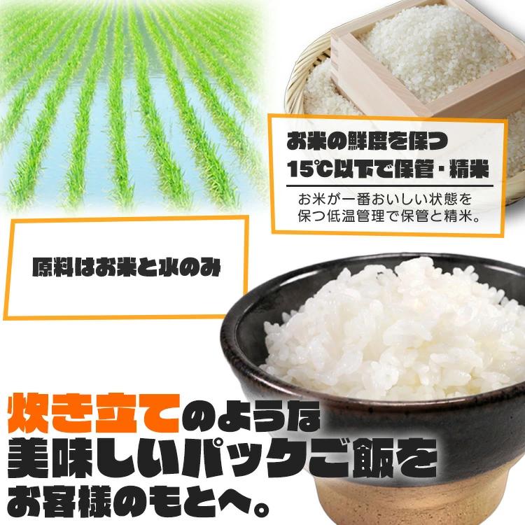 IRIS OHYAMA（アイリスオーヤマ） パックご飯 180g 10食 レトルトご飯