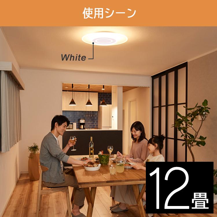IRIS OHYAMA シーリングライト led 12畳 led照明器具 天井 照明