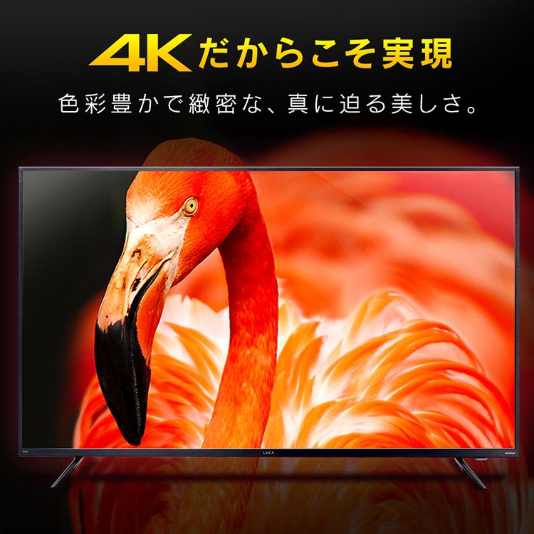 IRIS OHYAMA（アイリスオーヤマ） テレビ 55インチ 4K 4Kチューナー