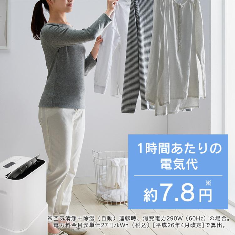 アイリスオーヤマ 空気清浄機能付除湿器 ホワイト PD-A140-W 楽天市場】＼花粉対策／空気清浄機 除湿機 コンプレッサー