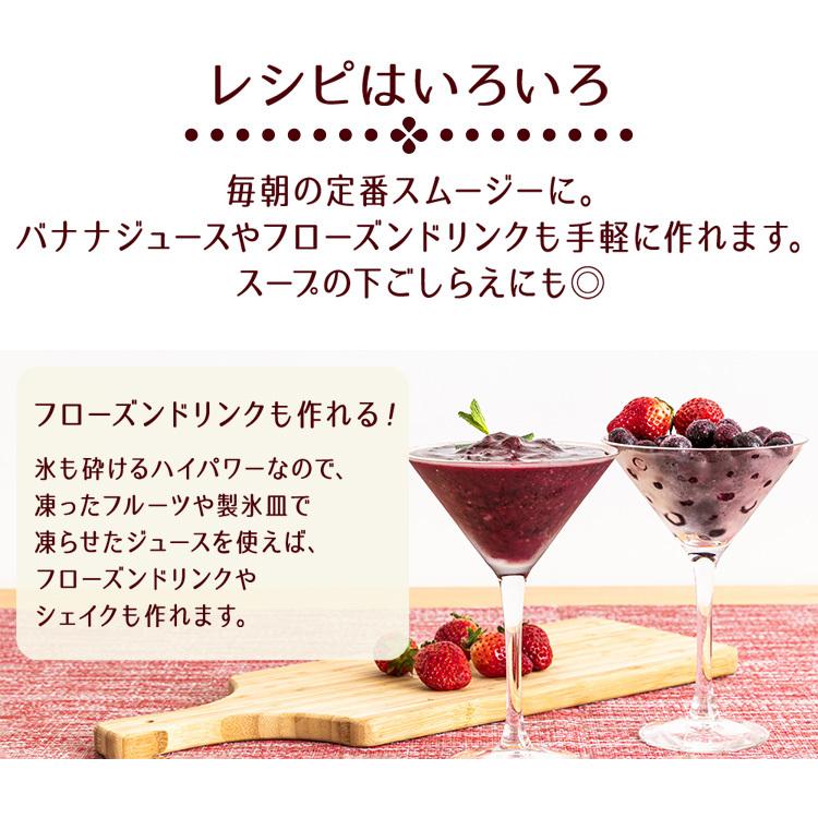 ミキサー スムージー フローズンドリンク シェイク ジュース ミキサー スムージー フローズンドリンク シェイク ジュース
