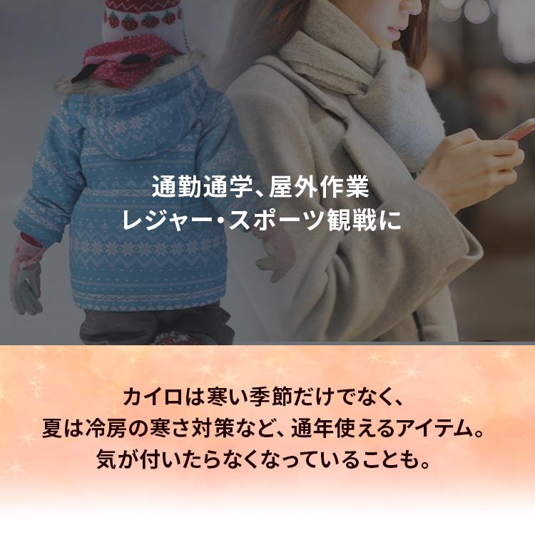 IRIS OHYAMA（アイリスオーヤマ） 貼らないカイロ レギュラー 30枚（10