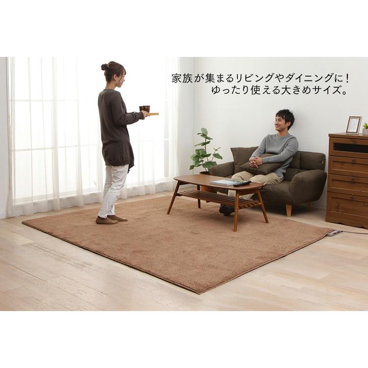 ワタナベ工業 ホットカーペット 3畳 本体 木目調 電気カーペット