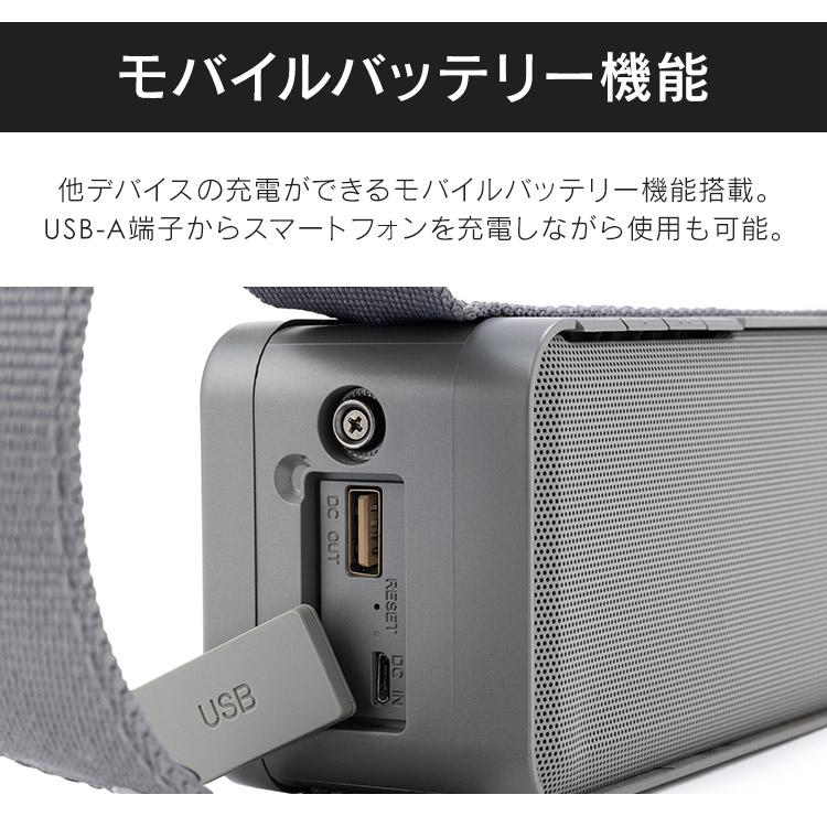 IRIS OHYAMA（アイリスオーヤマ） ワイヤレススピーカー 角型 IPX7