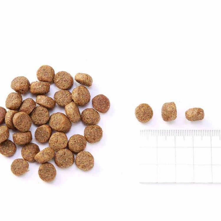 チャーム ドッグフード プレミアムフード グレインフリー 犬 ナチュラル アレルギー 小粒 無添加 肥満 CHARM グラスフェッドラムドッグフード 10kg |  | 02