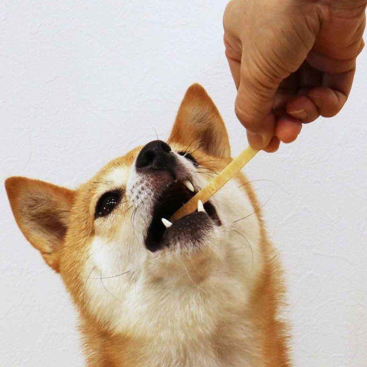 ドギーマン 犬のおやつ 牛皮ガム トリート 無添加良品 牛皮とささみカミカミデンタル 50g |  | 03