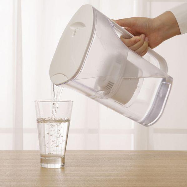 IRIS OHYAMA（アイリスオーヤマ） 浄水器 ポット型浄水器 大型