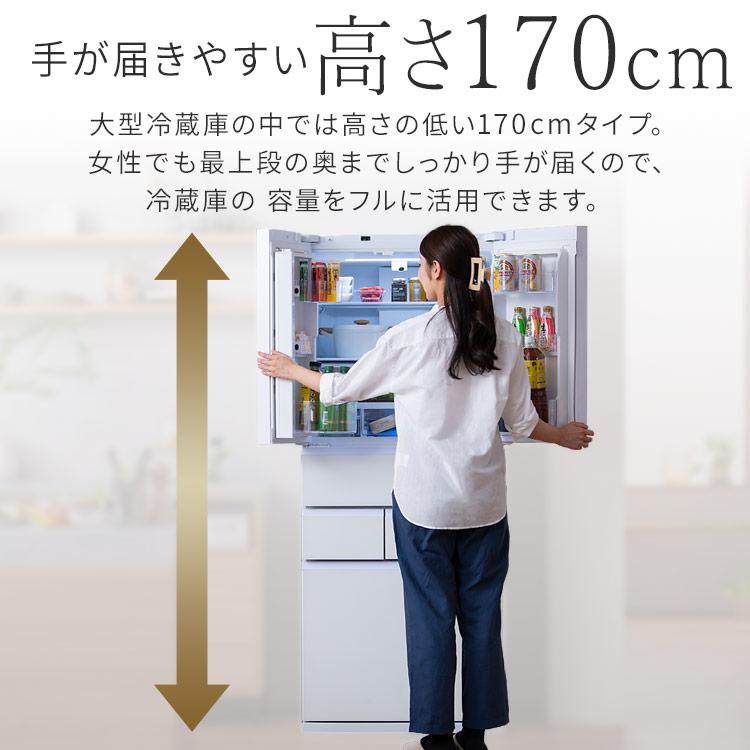 IRIS OHYAMA 庫内カメラ搭載 大型冷蔵庫 453L IRGN-C45A-W/IRSN