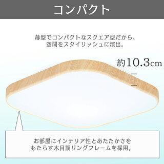 IRIS OHYAMA シーリングライト led 12畳 北欧 2個セット led照明