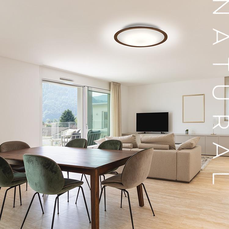 IRIS OHYAMA（アイリスオーヤマ） シーリングライト led 8畳 北欧 led