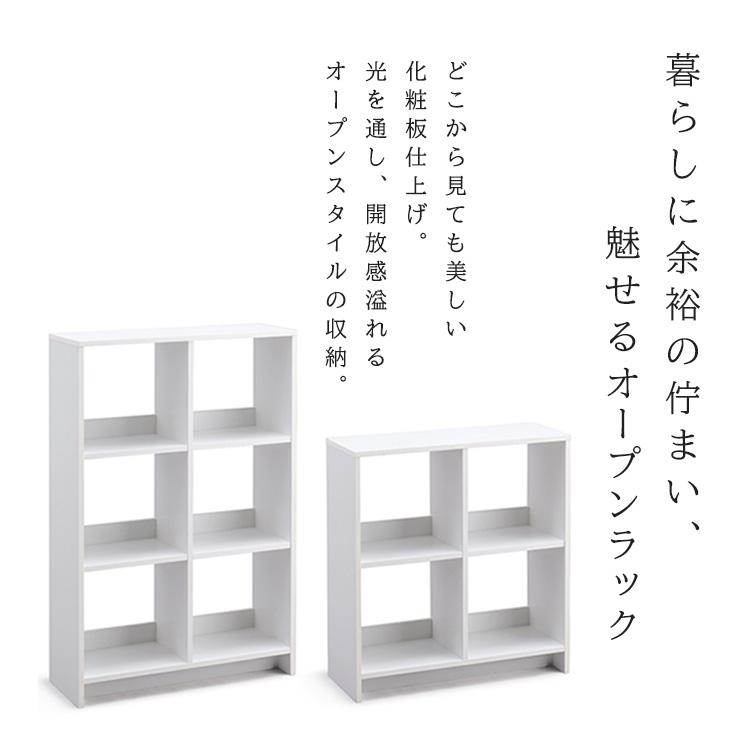 IRIS OHYAMA（アイリスオーヤマ） カラーボックス 収納棚 スリム