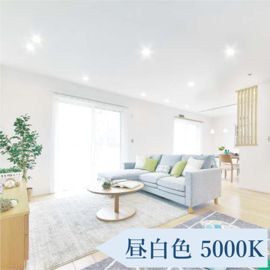 IRIS OHYAMA（アイリスオーヤマ） ダウンライト LED 100φ 穴100mm 埋込