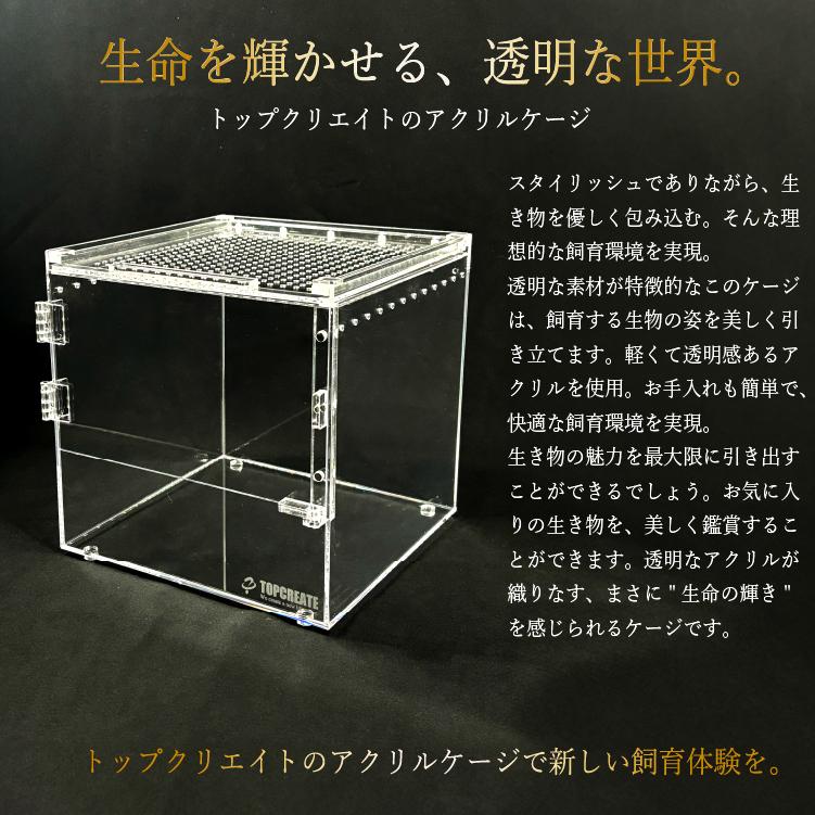 アクリルケージ TOP-AC-HEXA01 TOPCREATE(トップクリエイト) 爬虫類